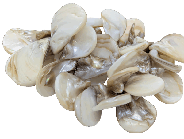 Vintage Mother-of-Pearl Shell Cluster Stretch Bracelet Vintage Mother-of-Pearl Shell Cluster Stretch Bracelet