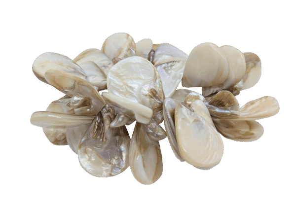 Vintage Mother-of-Pearl Shell Cluster Stretch Bracelet Vintage Mother-of-Pearl Shell Cluster Stretch Bracelet