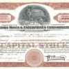 Patiño Mines & Enterprises Consolidated Share Certificate 1954 – 100 Shares Patiño Mines & Enterprises Consolidated Share Certificate 1954 – 100 Shares